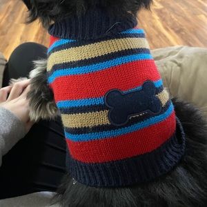 Bundle of puppy clothes